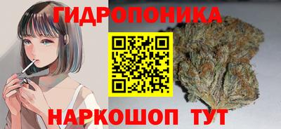 spice Изобильный