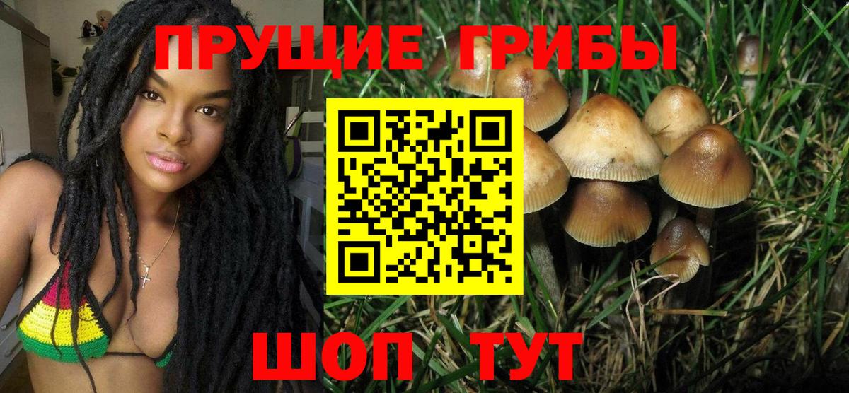 Псилоцибиновые грибы Cubensis Клин